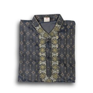 Kids Panjabi 28